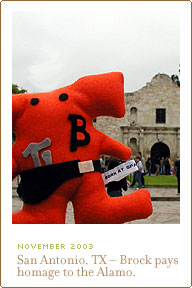 San Antonio, TX - Brock